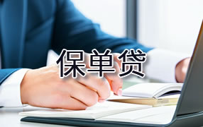 宁夏保单贷
