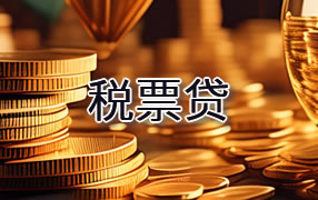 宁夏税票贷